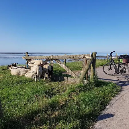 B 12 Direkt Am Binnensee- Seeblick By Interhome *
