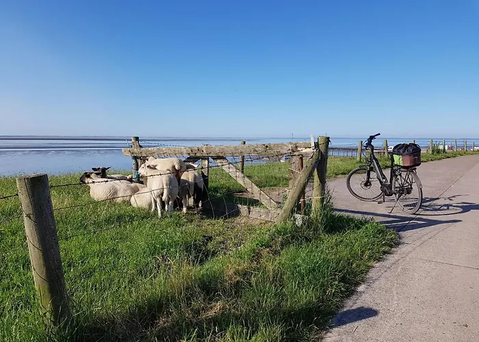 B 12 Direkt Am Binnensee- Seeblick By Interhome *